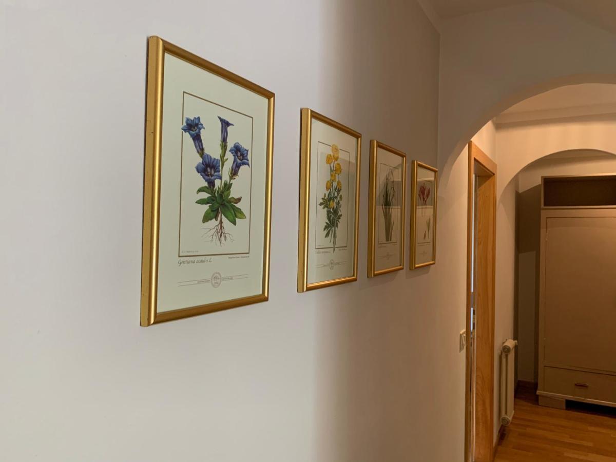 Cavalese Luxury Mountain And Sky Apartment Екстериор снимка